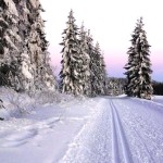 Winter in Sumava mountains. There are lots of cross country trails. This trail is only 10 minutes from our place. We recommend it!