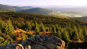 That´s Sumava mountains! This view is from the hill called Oblik. It is only 15 minutes by car than 30 minutes by walk from our place.