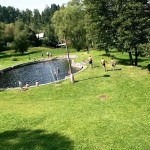 Natural pool is only 300m from our house. It´s filled with the water from the river Otava. There is nice buffet with en excellent czech beer. Open from mid May till mid September.